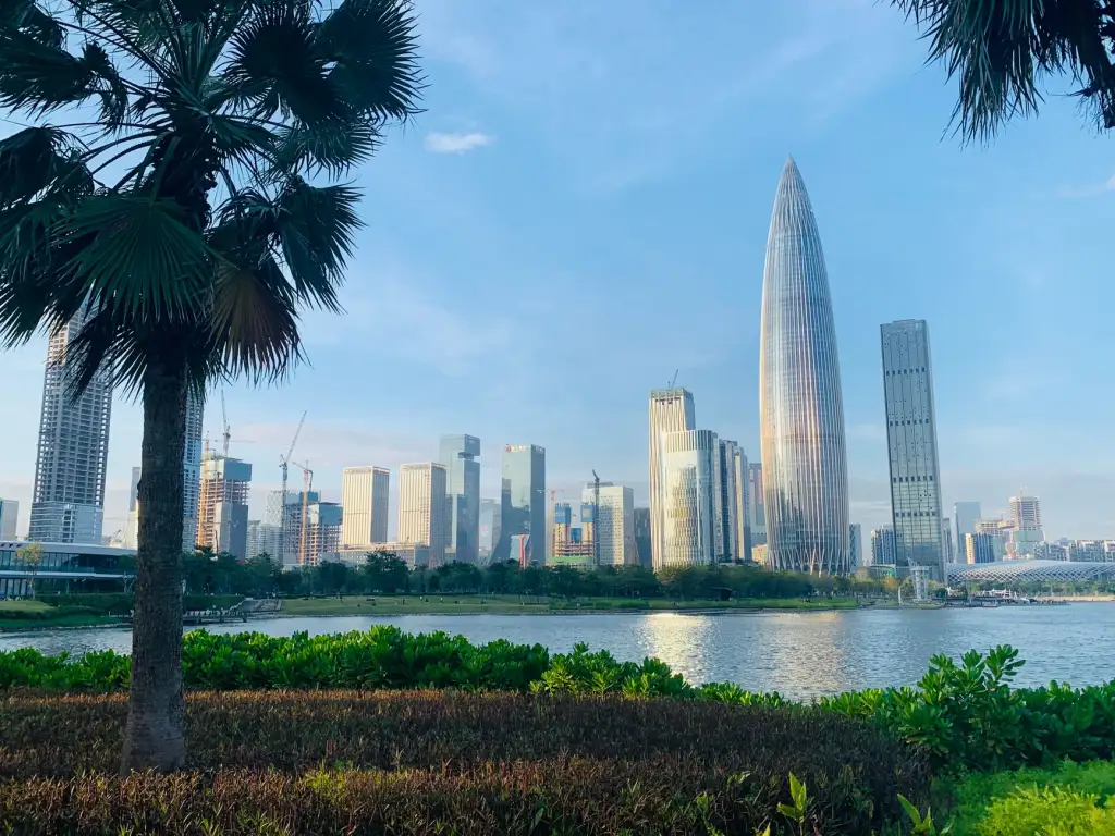 深圳二手房交易流程全解析：召召妹房产经纪服务详解